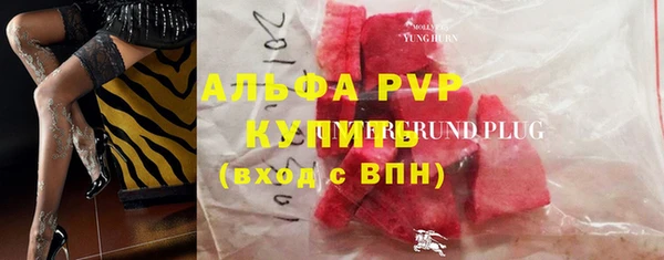 стаф Баксан