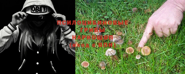 прущая мука Балабаново