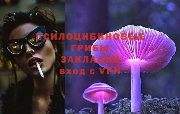 стаф Баксан